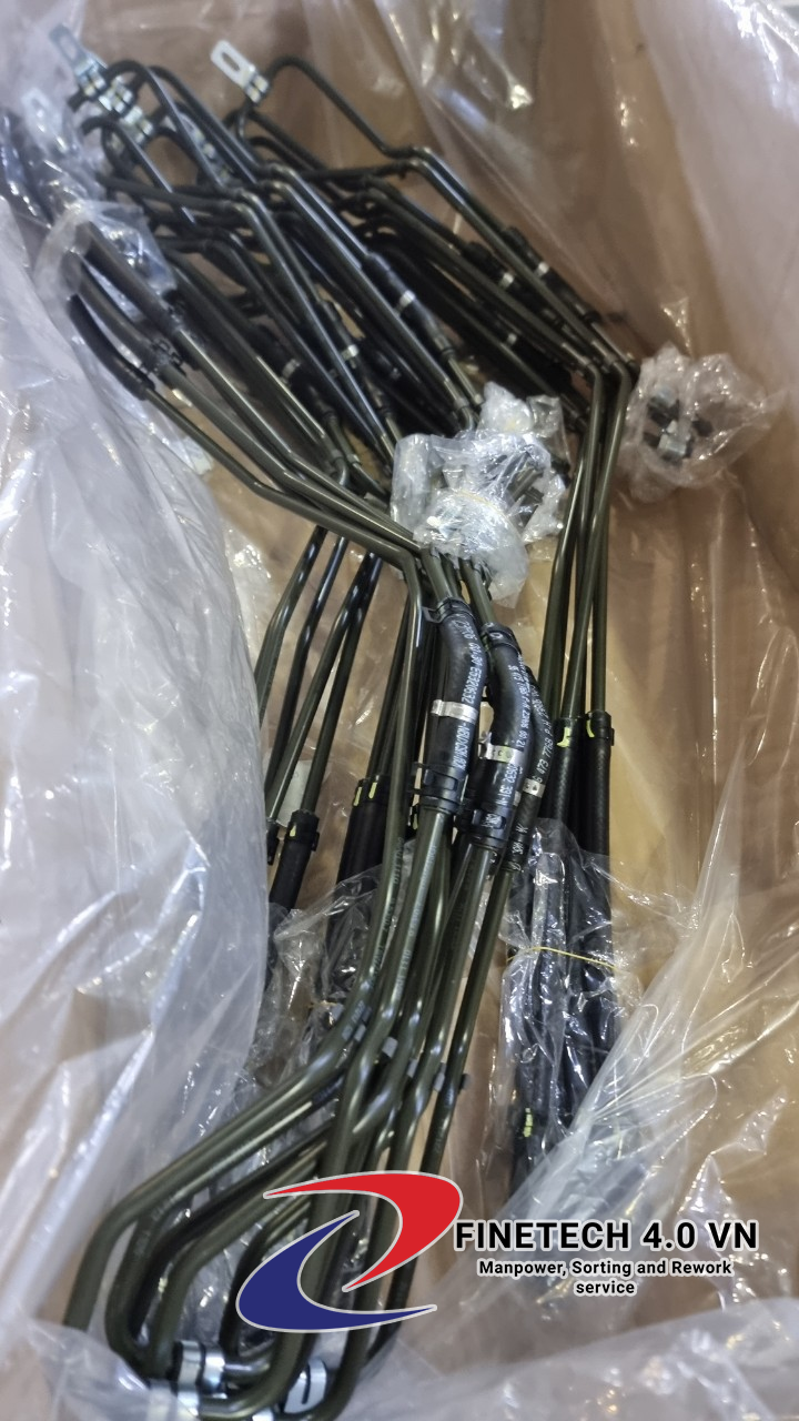 Hình ảnh tin tức Dịch vụ phân loại